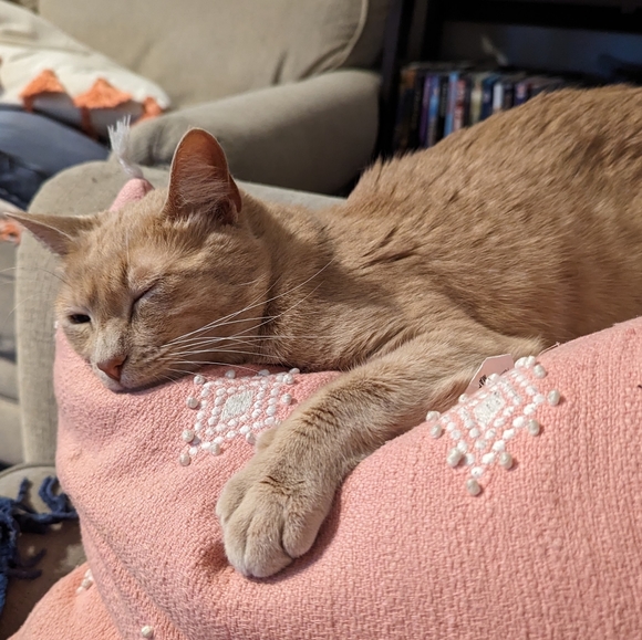 NEW LISTINGS DAILY - BIG STASH CLEAR OUT - Picture 6 of 6